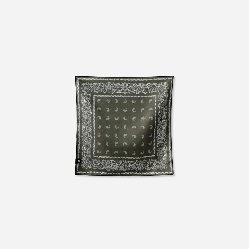 Bandana Towel: Paisley Forest Green