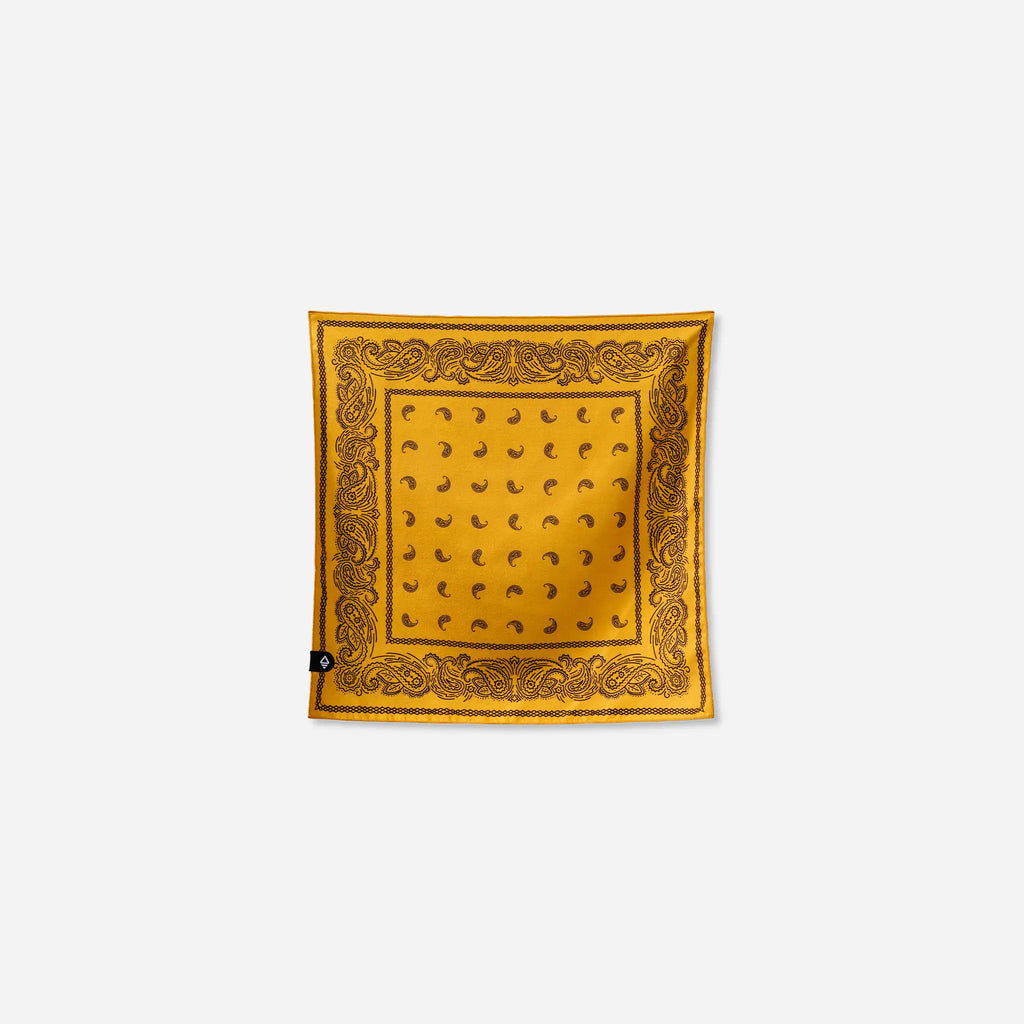 Bandana Towel: Paisley Amber Sun