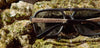 CAMP Glacier Matte Black - Smokey Bear Edition