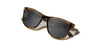 CAMP Trail Glacier Edition Polarized Sunglasses by Shwood | Bioplastic High-Exposure Eyewear
